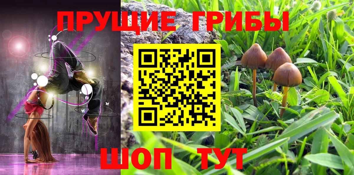 Галлюциногенные грибы GOLDEN TEACHER  Вход с VPN  Электросталь 
